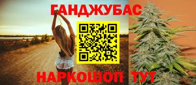 стафф Гай