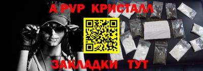 стафф Гай
