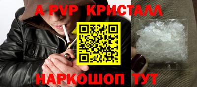 стафф Гай