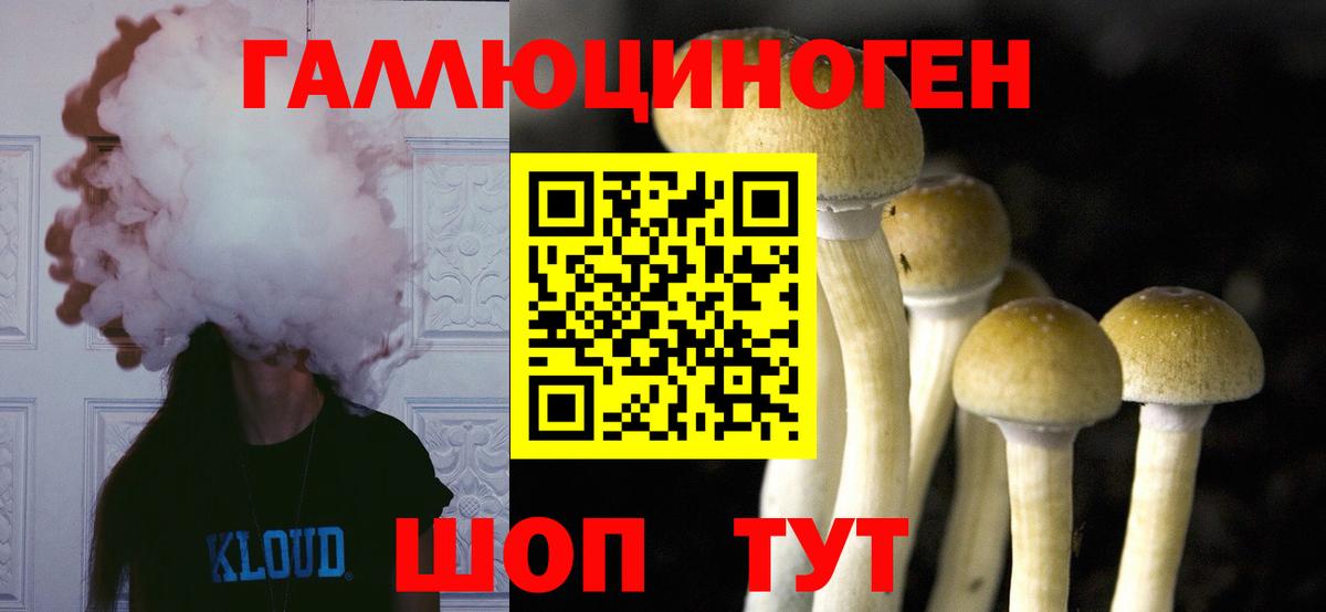 Галлюциногенные грибы Psilocybe  Псилоцибиновые грибы GOLDEN TEACHER  Минеральные Воды  купить наркотики цена  Вход с VPN 